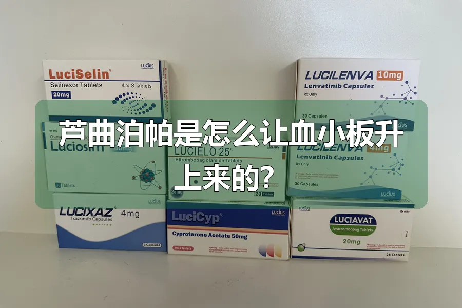 芦曲泊帕是怎么让血小板升上来的？